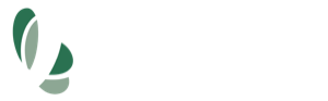 Asontu